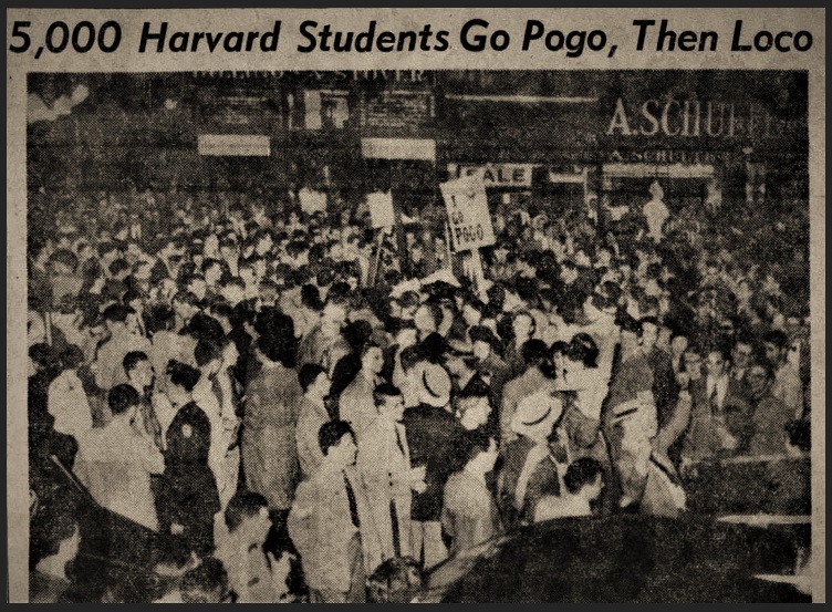 The Pogo Riot